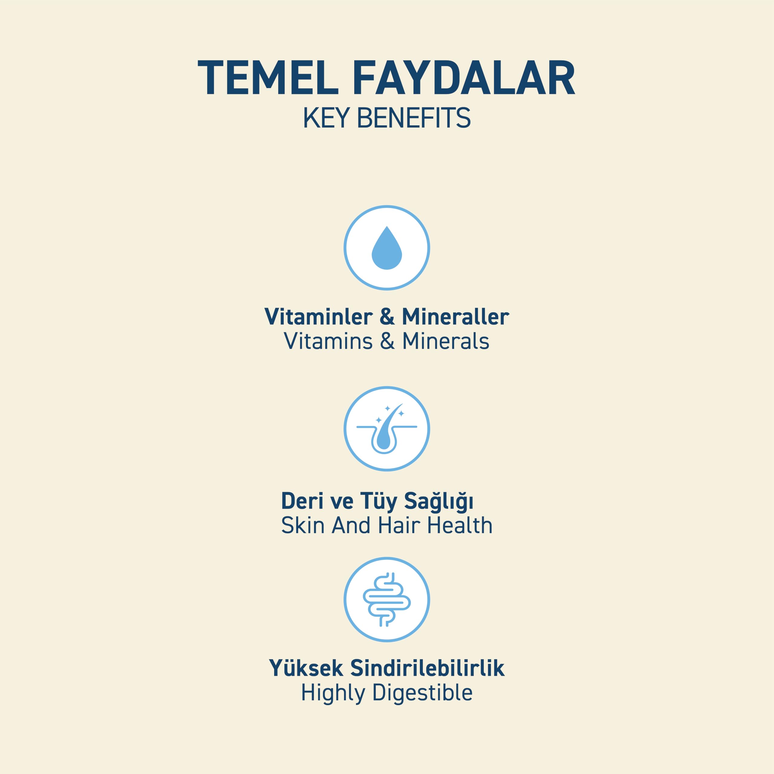 Petipure Kuru Yetişkin Kedi Maması - Besleyici Vitamin İlaveli Tam ve Dengeli Mama (1,2 Kg, Somon) (2 paketi)