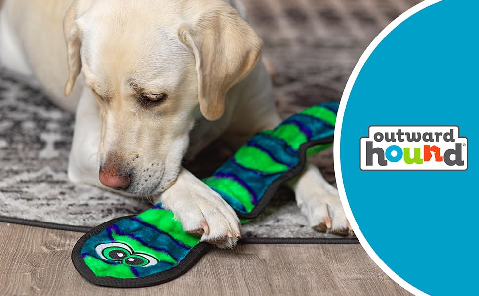 Outward Hound Invincibles 3 Squeak Sneak Durable Dog Toy | Long-Lasting Soft Dog Toy with Multiple Squeakers for Interactive Play and Daily Activity, Suitable for Dogs 4