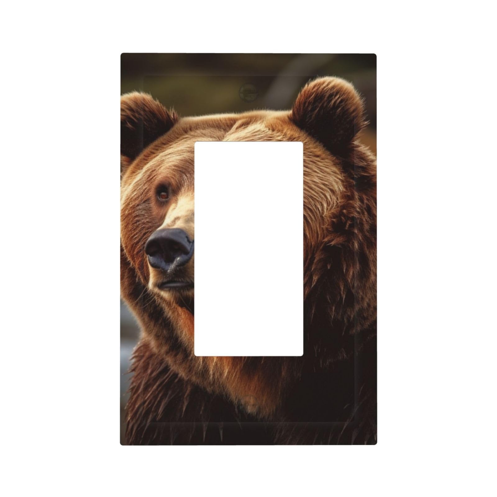1-Gang Decorator Wall Plate Grizzly Bear Light Switch Cover Single Gang Receptacle Outlet Wall Plate Mid Size 5" x 3" Wallplate Unbreakable Polycarbonate Outlet Faceplates Covers