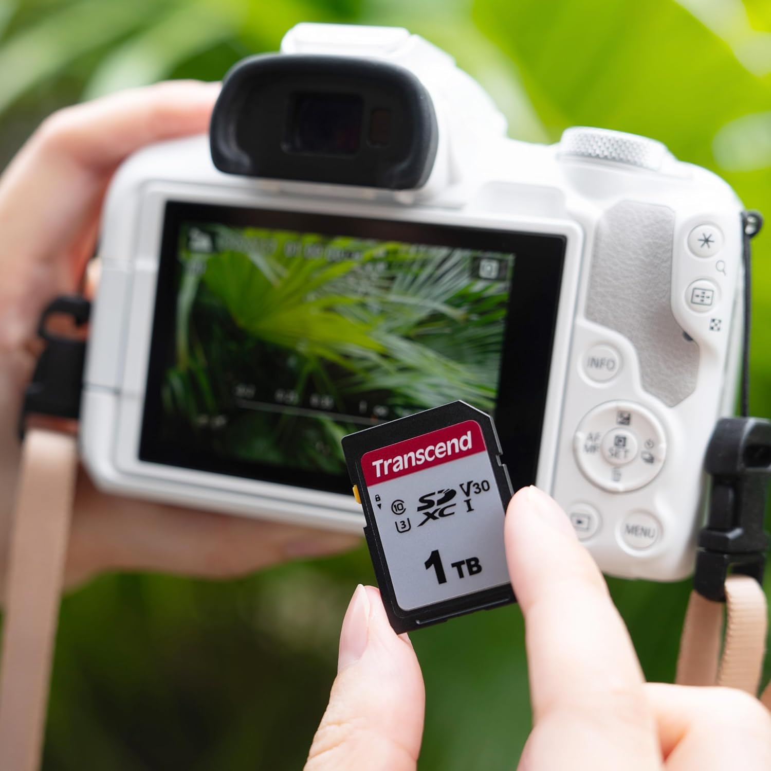 Transcend Tarjeta SDHC 32GB, U1 C10, 100MB/s, Full HD, para Cámaras Canon Nikon Sony Panasonic y Cámaras de Caza SPYPOINT TACTACAM WOSPORTS - TS32GSDC300S-E