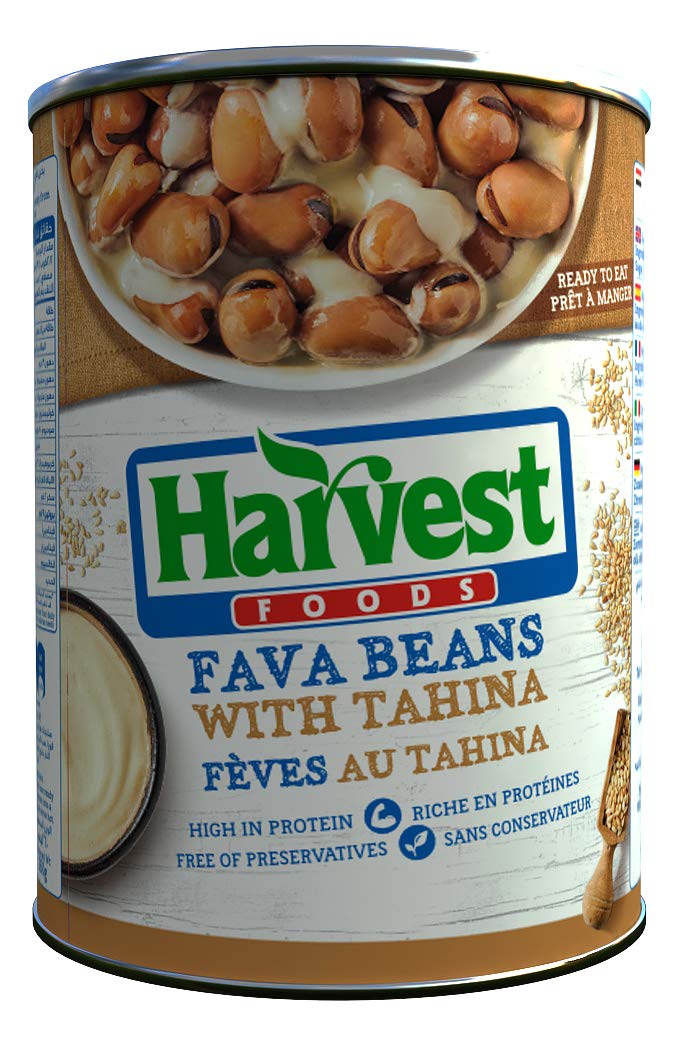 Are Fava Beans Good For Dogs