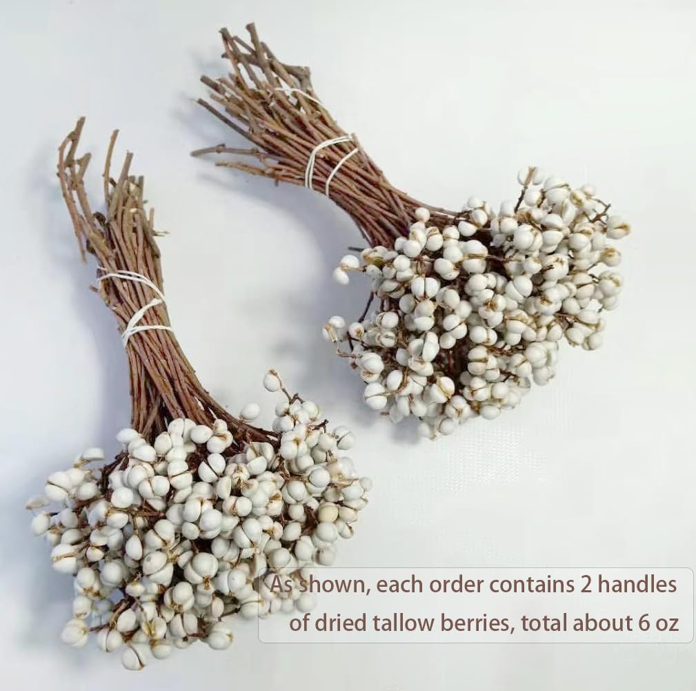 Natural Dried Tallow Berries, Holly Tallow Berries, Dried Plants Floral Decor, Natural Berry Stems Bouquet for Home, Office, Wedding, Party, DIY, Craft, Props, Farmhouse Style