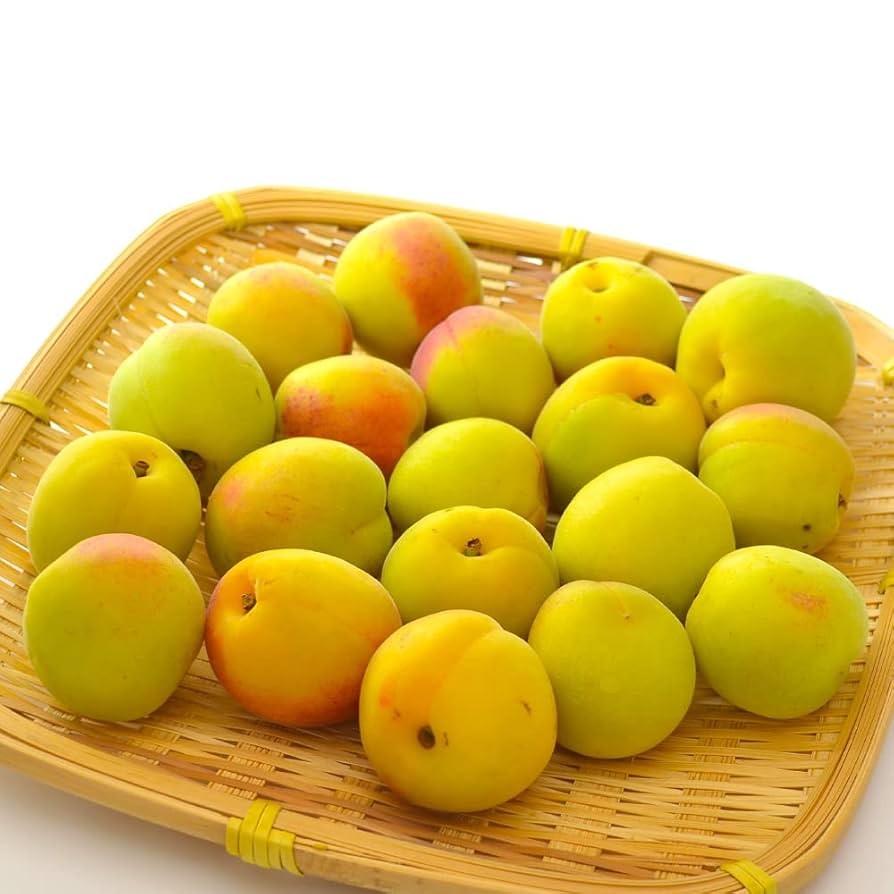 青森県産 完熟梅 3kg Amazon | 完熟梅サイズ混合3kg［品種は豊後梅］青森県南部町