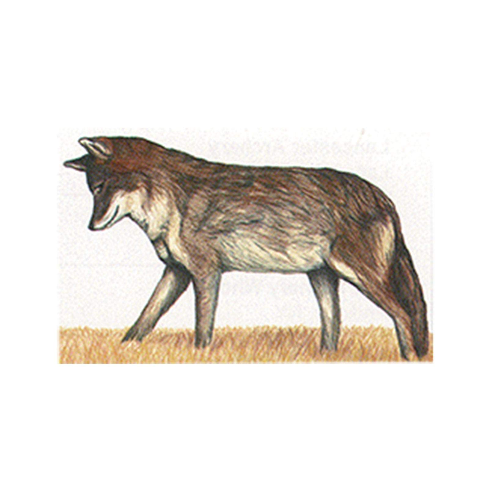 Maple Leaf NFAA Animal Faces Group 3 Coyote