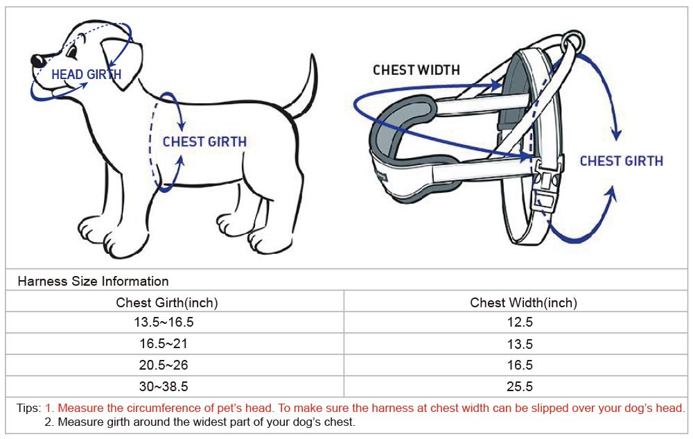 Blueberry Pet Comfy 3M Harnais rembourré avec bandes réfléchissantes pour chien, tour de poitrine 42 cm-54 cm, violet, taille S, harnais de dressage réglable en nylon pour chiens
