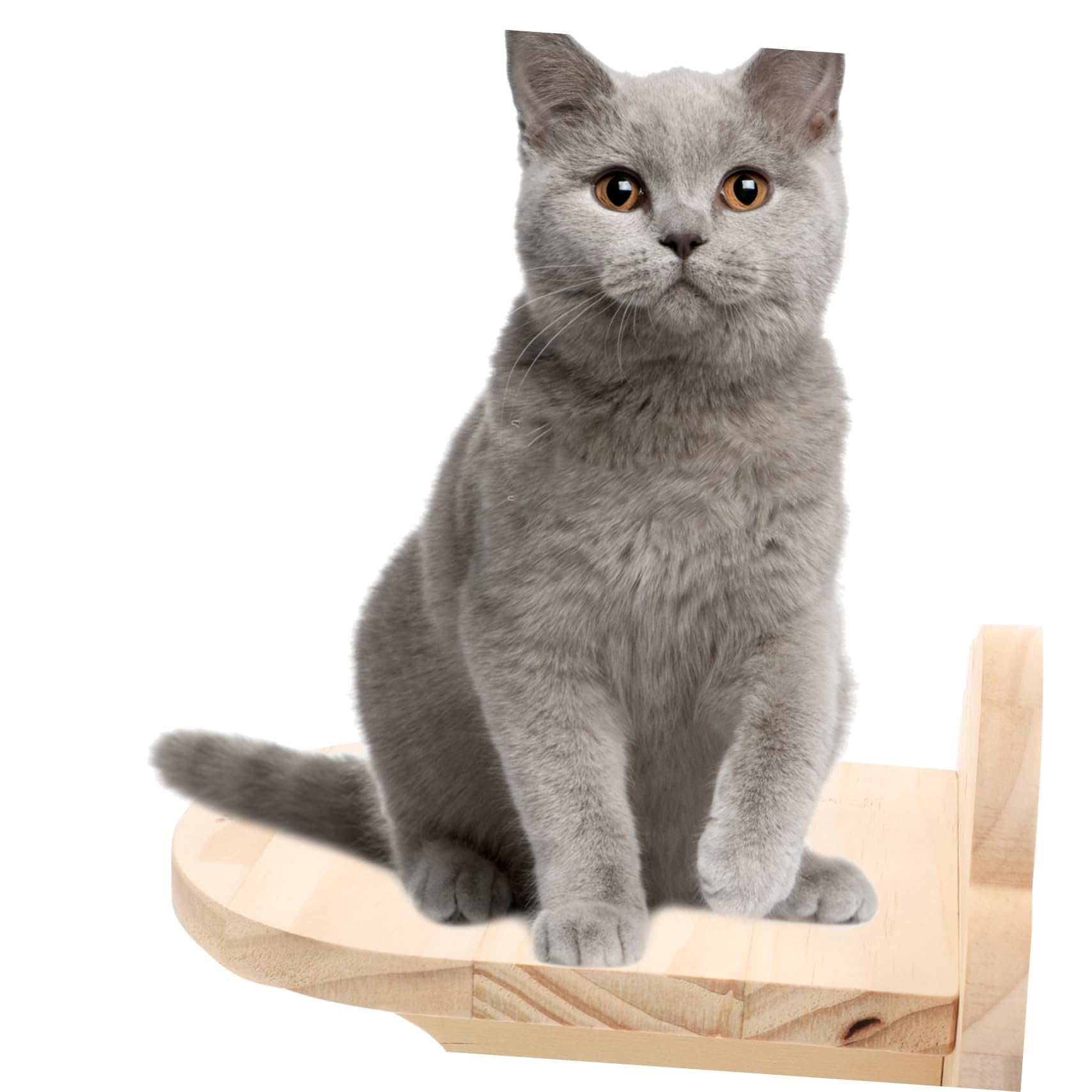 Sosoport 2stücke Teiliges Katzenwandregal Aus Holz Wandmontierte Katzenstufen Für Klettern Und Spielen Sicheres Und Stabiles Katzenmöbel Für Innenräume Für Katzenliebhaber