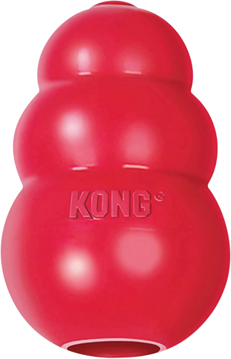 A durable KONG classic chew toy