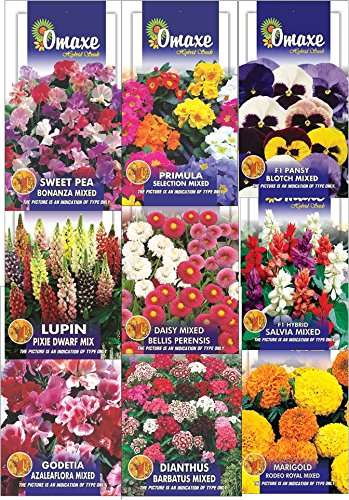 Main flowers collection- 9pkts kit cotains Sweet Pea,Primula Mix, Pansy BLotch,Lupin Dwarf,Daisy Mix,Salvia Mix,Godetia Mix,Dianthus Barbatus Mix,Marigold Rodeo Mix (avg 400 seeds together packed separate)
