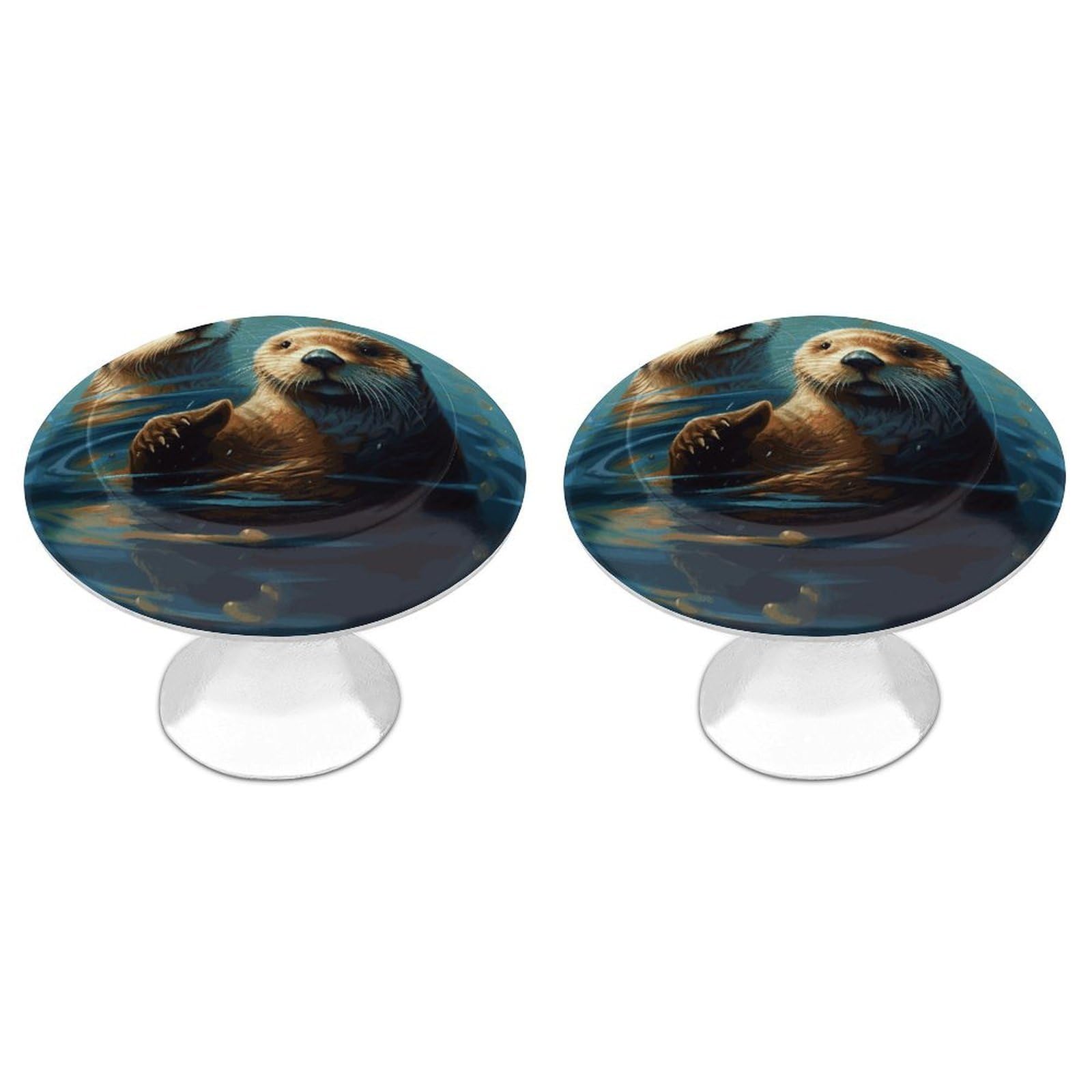 FekiLoot Sea Otters Painting Cabinet Knobs 2 Pack Stainless Steel Round Dresser Drawer Knobs Kitchen Drawer Hardware Dresser Knob Closet Door Pulls Cabinet Handles for Cupboard Drawer Pulls