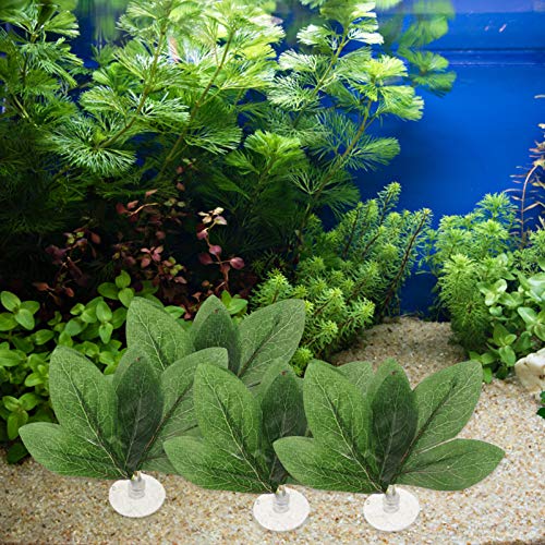 VILLCASE 10 Unidades de Folha de Peixe Betta Com Ventosa Peônia de Rede de Peixe Betta Deixa Plantas