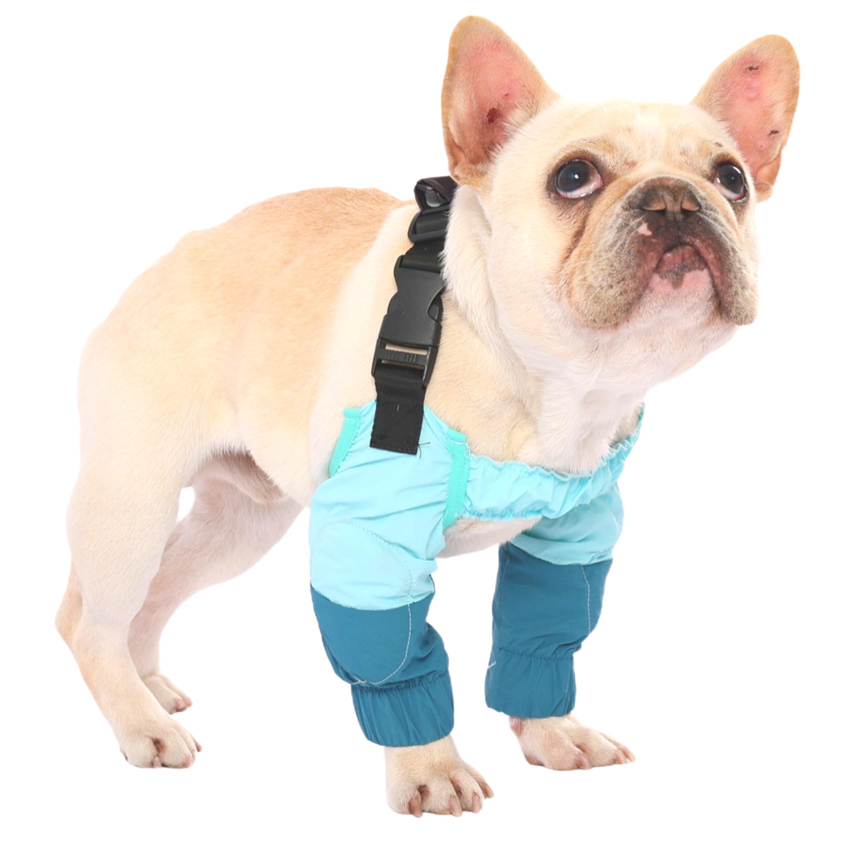 PetWarm Dog Leg Sleeves, Waterproof, Elbow and Knee Protector, Blue, XXL