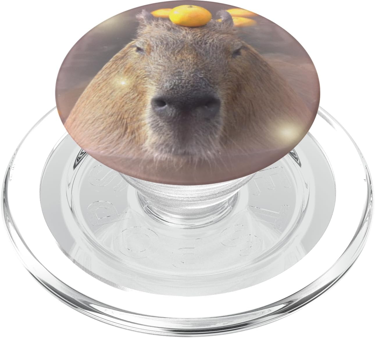Cute Capybara with Orange on Head PopSockets Grip and Stand for Phones and Tablets PopSockets PopGrip for MagSafe
