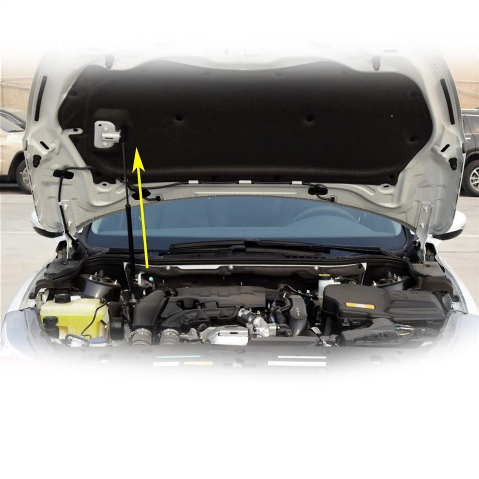 Cofano Anteriore Per Peugeot 208 MK1 2012-2019 Anteriore Cofano Modificare Struts Gas Molla Aste In Fibra Carbonio Ascensore Sostegno Ammortizzatori Ammortizzatori A Gas (Colore : Black Carbon Fiber - 9