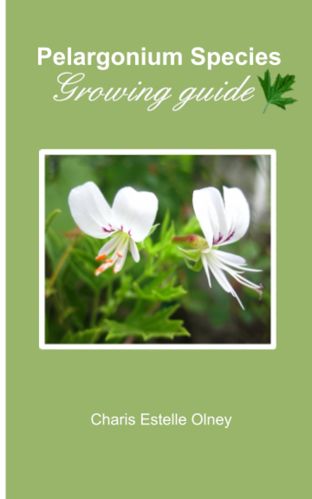 Pelargonium Species growing Guide