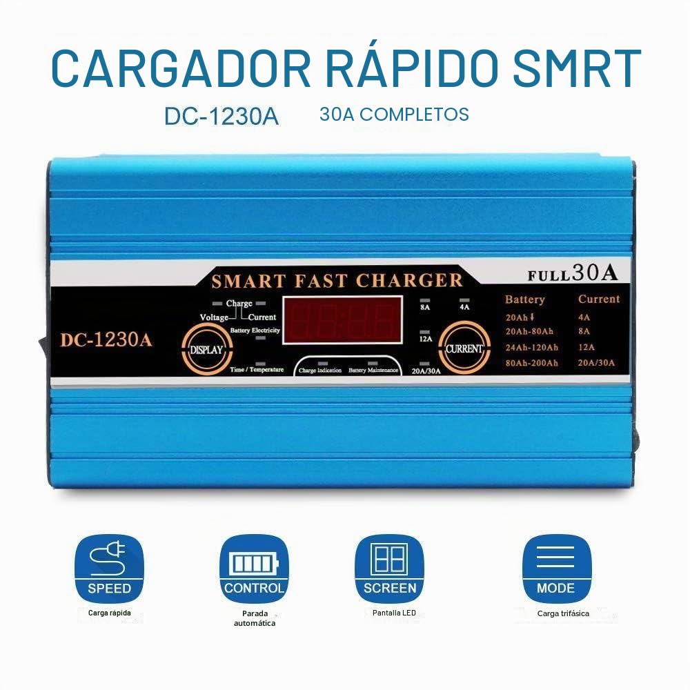 Baceyong Cargador de batería 12V 30A, cargador de batería inteligente, carga rápida, pantalla LCD para caravana, autocaravana, bote, automóvil, motocicleta