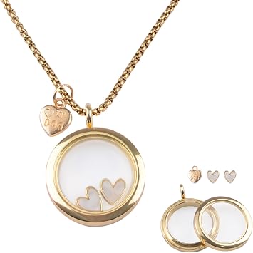 Pet Fur Memorial Necklace, Pet Ashes & Hair Keepsake Dog Fur Memorial Necklace Transparent Glass Circle Stainless Steel Chain Memorial Jewelry for Women Men Memorial GiftsGold