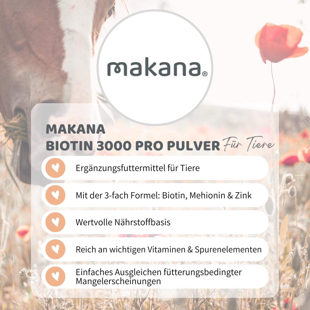 Makana Biotin 3000 PRO Pulver für Tiere, 2 x 1000 g Beutel