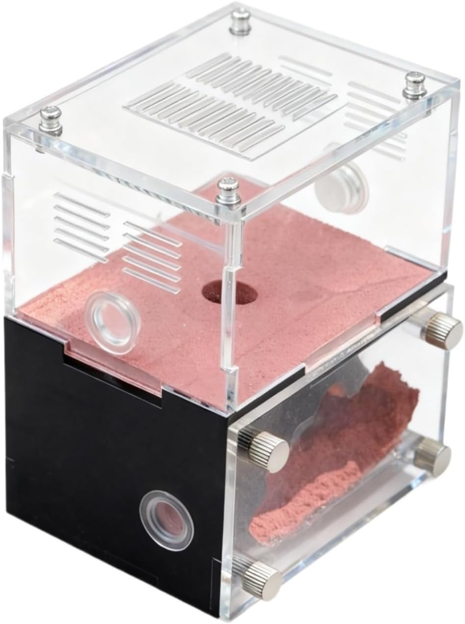 Ant Farm Concrete Ant Nest Acrylic Farm Habitat Feeding Box for Colonies Habitat