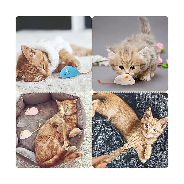 FANTESI 13 in1 Katzenminzen Spielzeug mit Matatabi Sticks, Plüsch Katzenspielzeug Maus Set Natural Katzensticks Katze Catnip Toy Interaktives für Katzen und Kätzchen – Bild 6