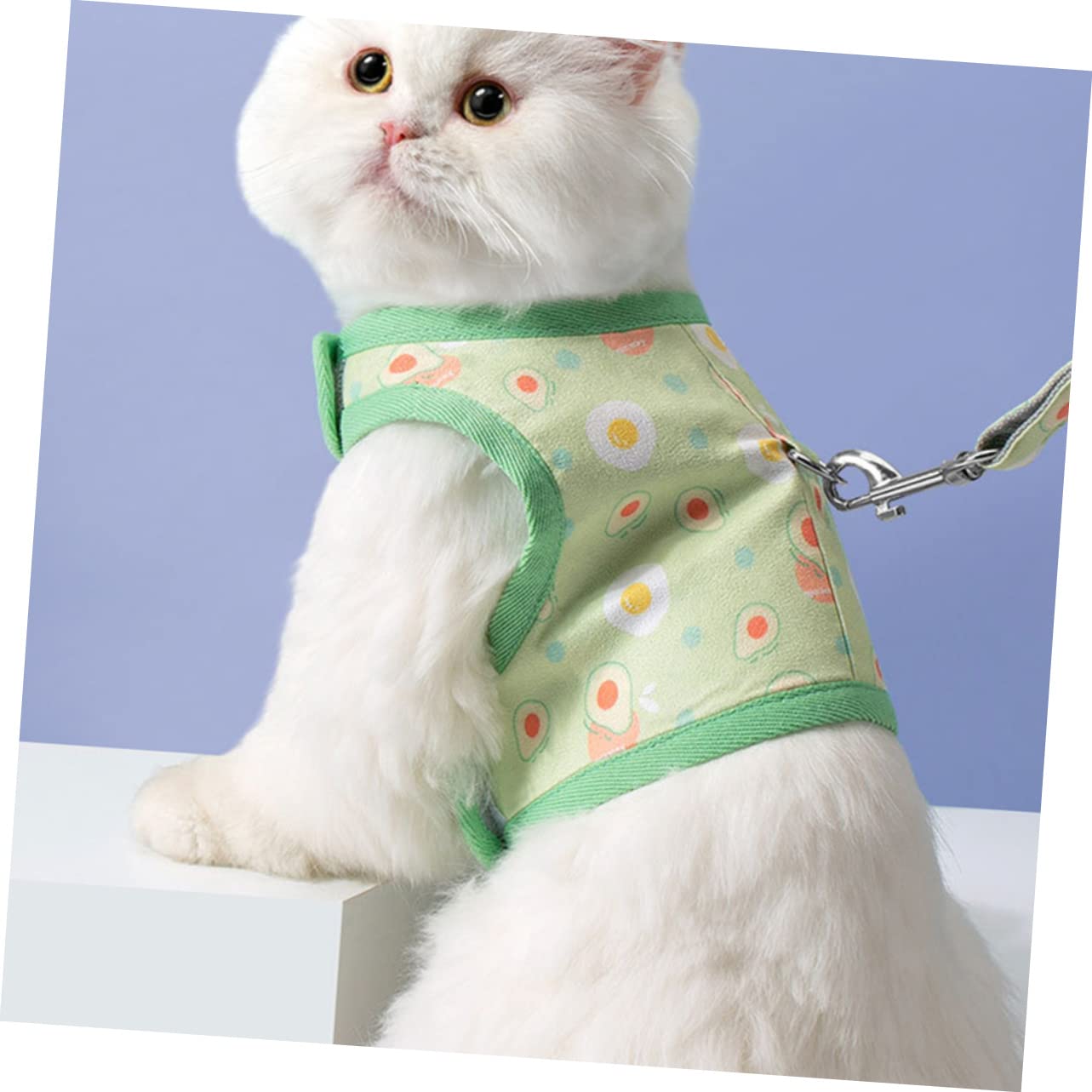 Kisangel 4ensembles Harnais pour Chat Et Chien avec Laisse Gilet Respirant pour Promenade De Votre Animal Avocat
