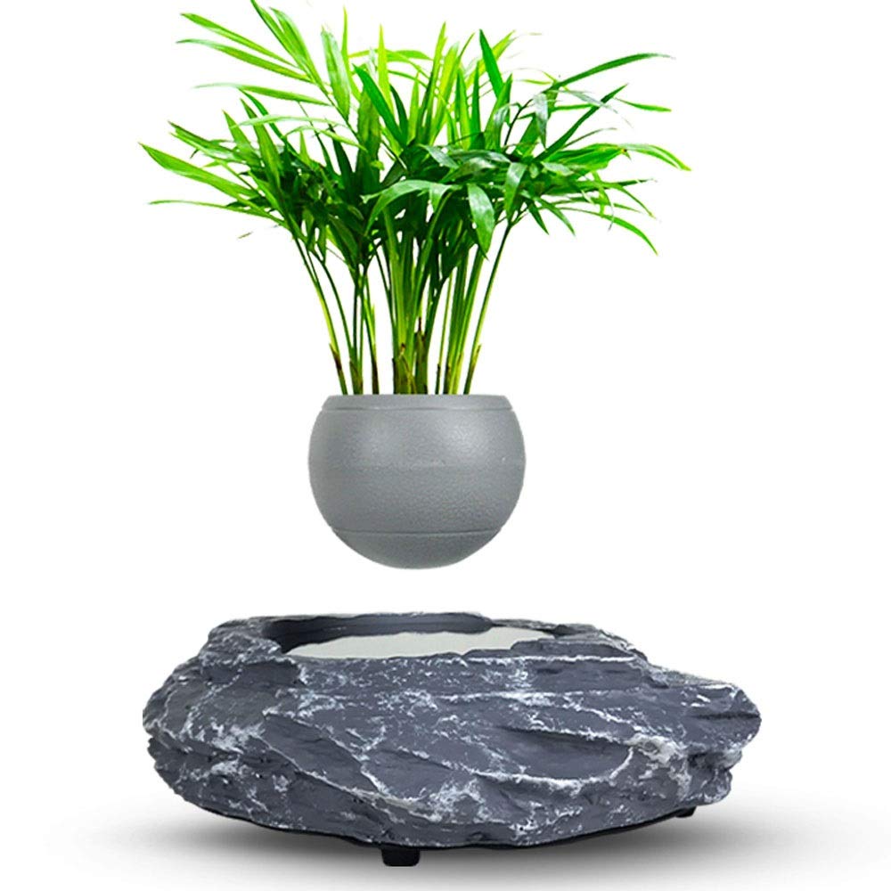 Buy RANRANJJ Levitating Potted Floating Pot Air Bonsai