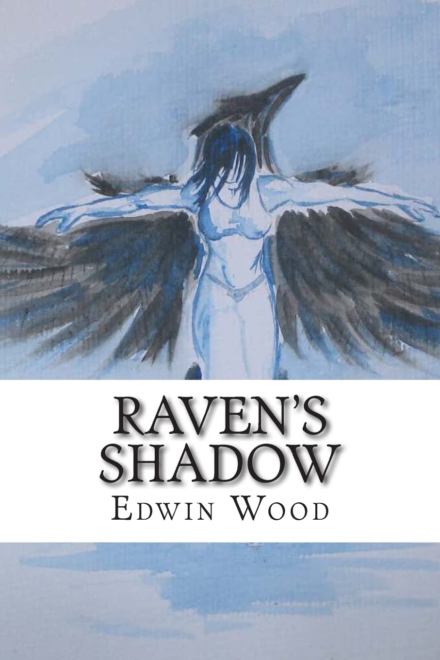 Raven's Shadow: Volume 1 (Raven Cycle)