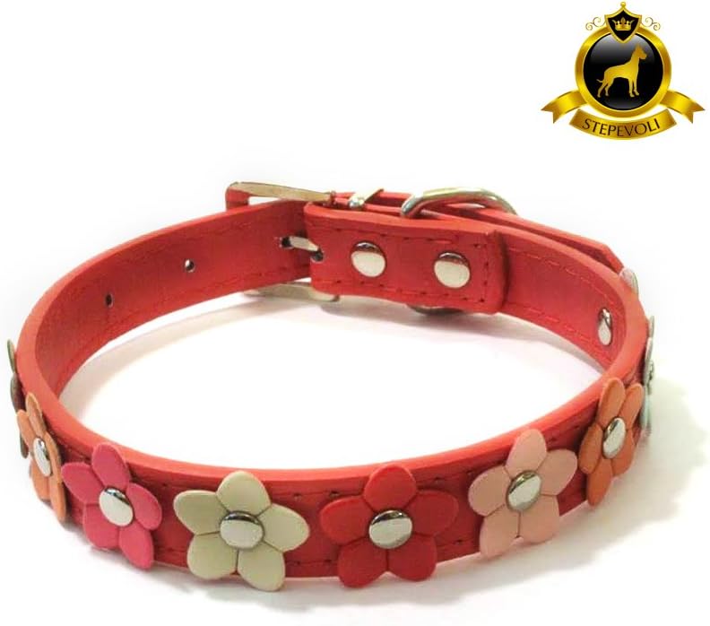Stepevoli Dog Collar with Petite Flowers - Comes in RED Colour and C2 Size
