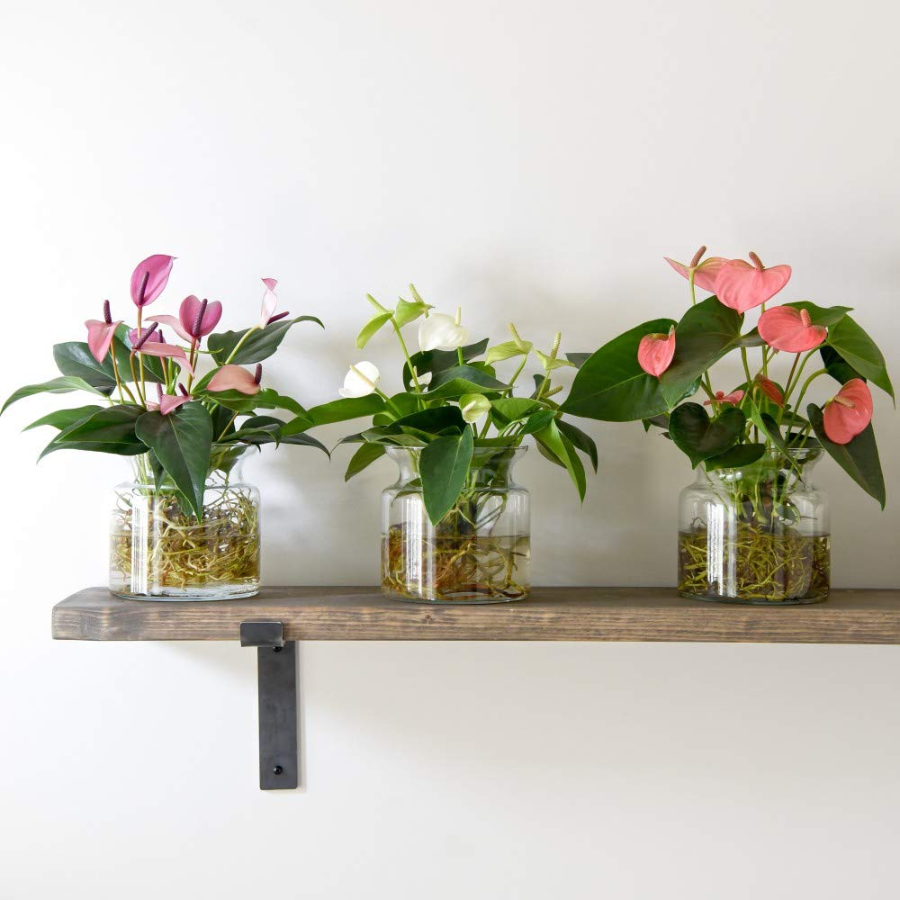 bamboo plant stand indoor 5 Tier Bamboo Plant Rack SLPLTRK72