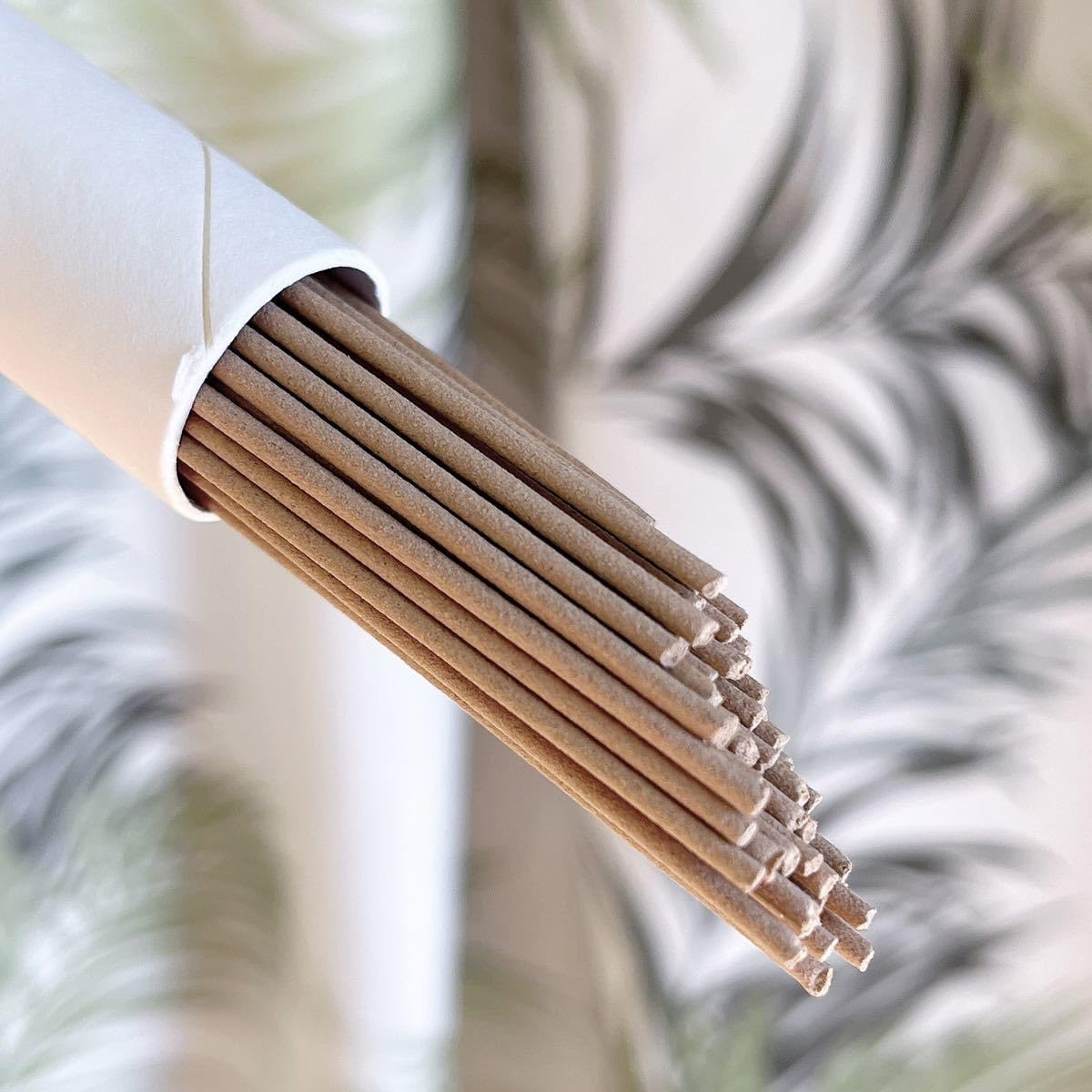 天然逸品 天然逸品 5星ベトナム芽庄沈香盤線1盒と線香