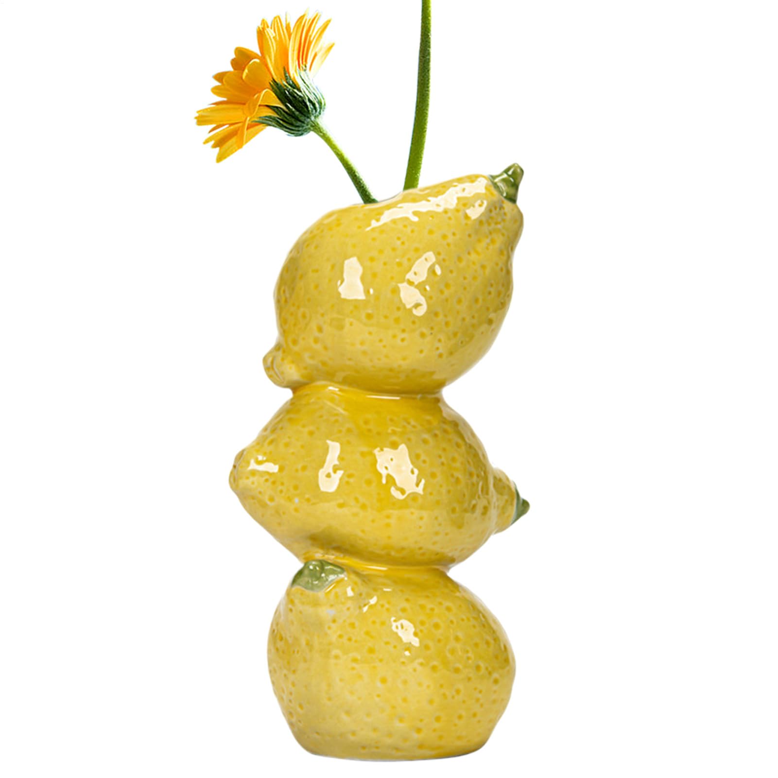 Pot de fleurs en forme de fruits en céramique haut de gamme