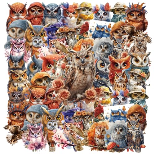 S Laptop Scrapbookings Owls Birthday Party Favor Decorations Supplies Gifts For Teens Teacher Rewards Owls Lovers