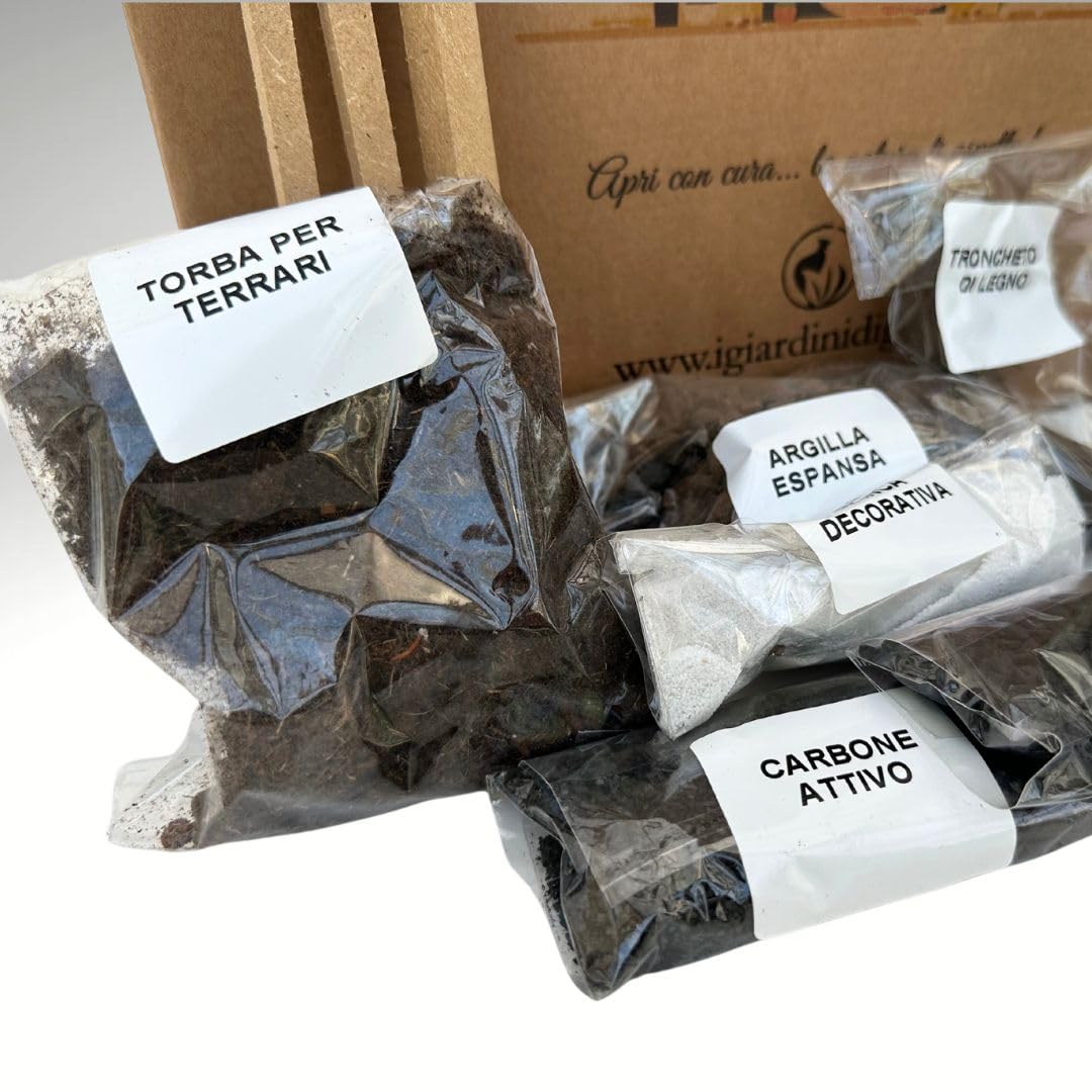 I GIARDINI DI GIULIA - Kit Terrarium DIY | Contenedor Geométrico de Vidrio y Hierro | Incluye 3 Plantas y Sustratos | Ideal para Diseño de Interiores, Negro y Transparente