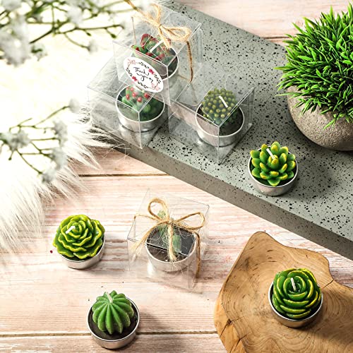 12 Sets Succulent Cactus Candles Mini Succulent Tealight Candles Decorative Tea Light Candles For Gift Smokeless Small Plants Candles For Birthday Wedding Party Anniversary Celebration Spa Home Decor #TOP3