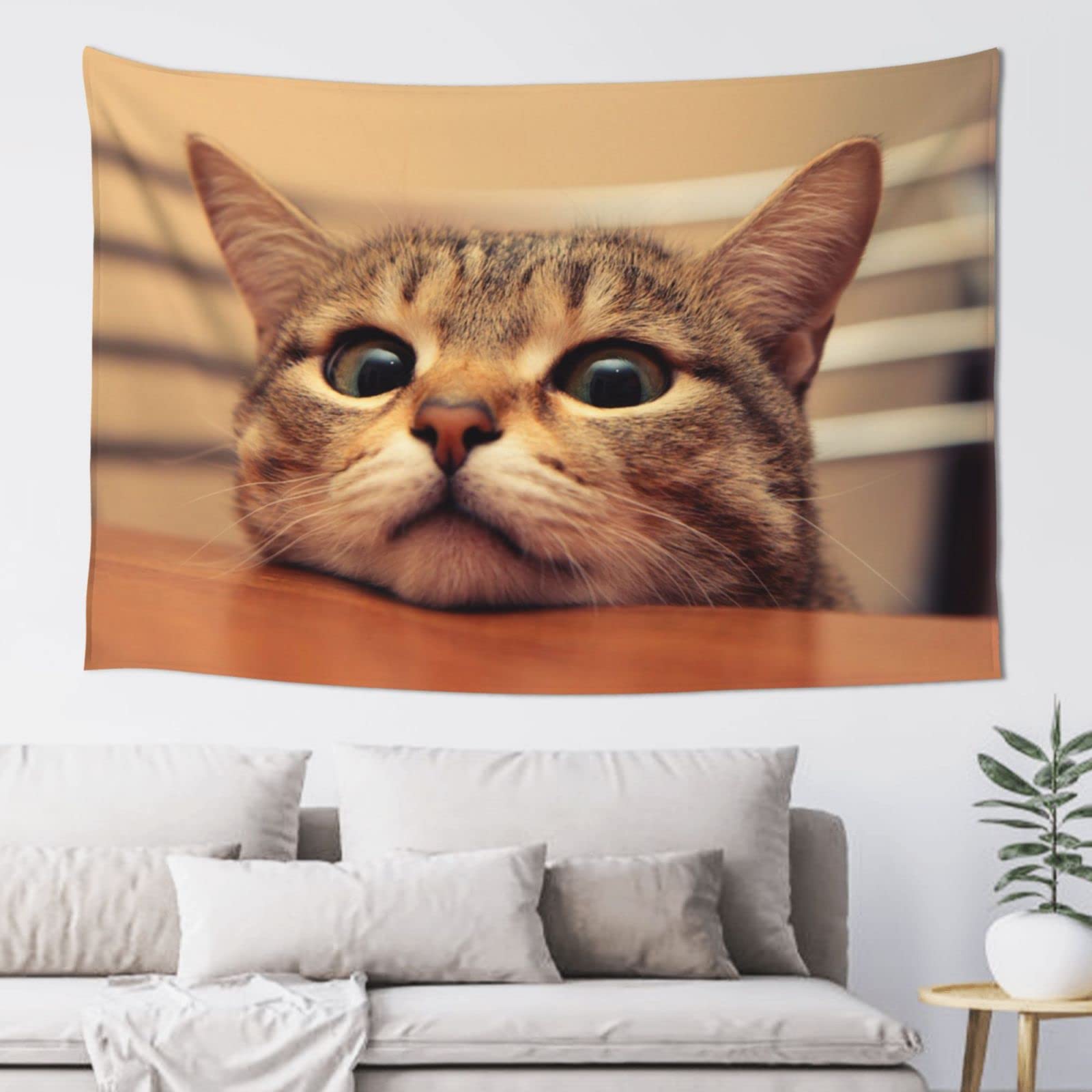 Amazon Co Jp タペストリー かわいい ネコ 猫柄 アニメ 壁掛け おしゃれ 壁飾り インテリア ウォールアート モダン 装飾アート 多機能 お店 雑貨 新居祝い 個性プレゼント 布製 150x100cm ホーム キッチン Amazon Co Jp タペストリー かわいい ネコ 猫柄 アニメ 壁掛け おしゃれ 壁飾り インテリア ウォールアート モダン 装飾アート 多機能 お店 雑貨 新居祝い 個性プレゼント 布製 150x100cm ホーム キッチン