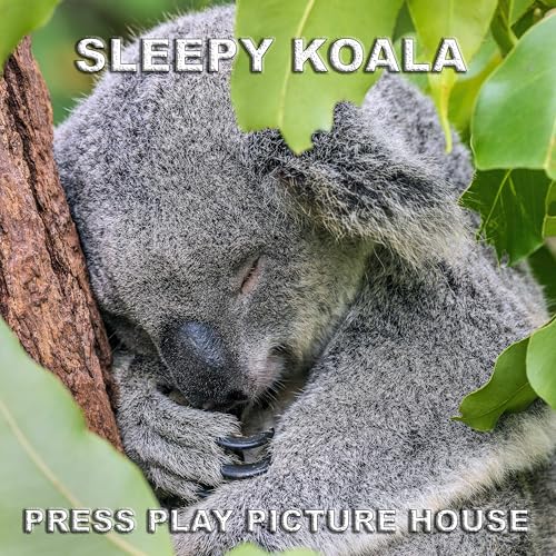 Sleepy Koala