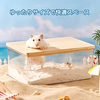 【小物・トイレ砂等全てセット】グラスハーモニー【ハムスターすぐ飼えます】 飼育セット GEX グラスハーモニー 450N（47×31×28