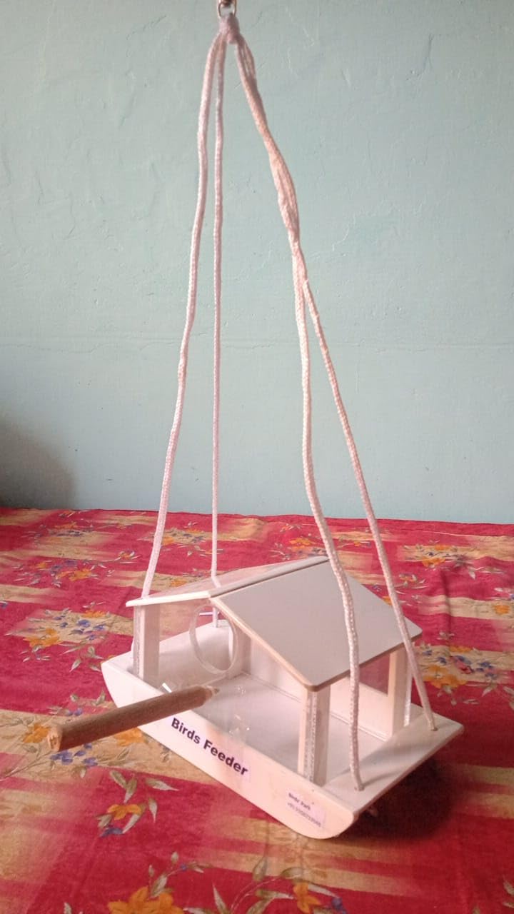 Birds Feeder Hut Type in Acrylic Multi Color - Good Hanging-Swing Feeder for Finch Lovebird Cockateils in Aviary, Garden, Balcony (B09VVGN6LP) Amazon Price History, Amazon Price Tracker