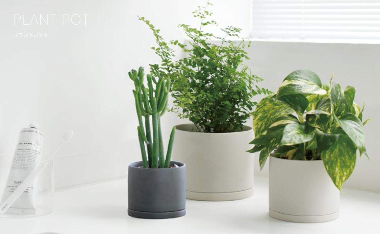 Amazon.co.jp: KINTO (キントー) 植物用プラントポット191 アース