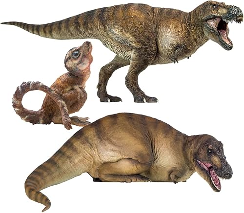 PNSO La familia Tyrannosaurus rex