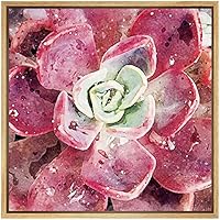 SIGNWIN Framed Canvas Wall Art Bright Red Mardi Gras Succulent Botanical Plants Watercolor Modern Art Chic Closeup Relax/Calm for Living Room, Bedroom, Office - 16x16 inches