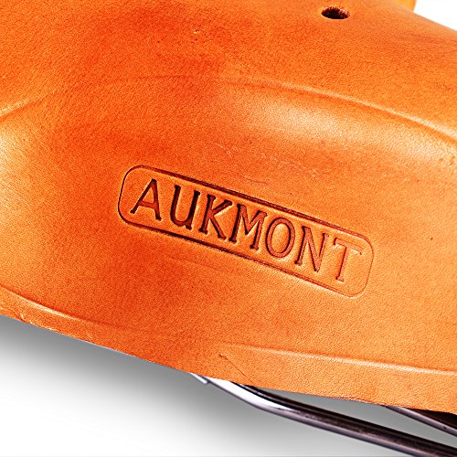 aukmont saddle