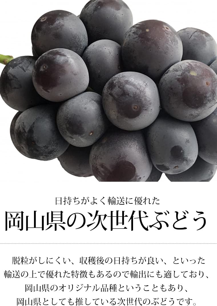 Amazon.co.jp: ぶどう オーロラブラック 種なし 秀品 約2kg 4～5房 JA
