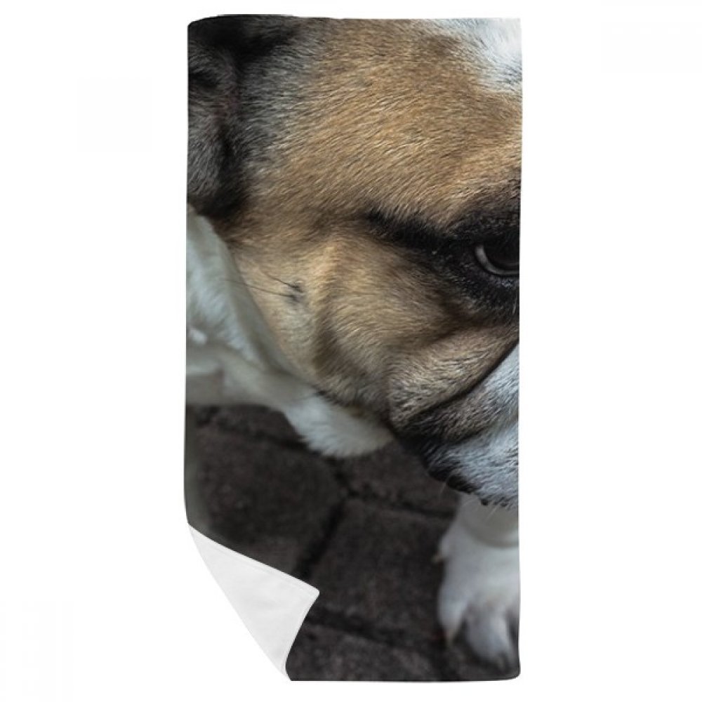 Débarbouillette bouledogue 35x70 cm pour éliminer l'humidité
