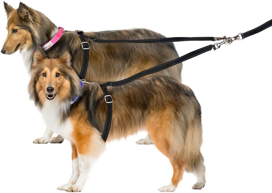 ThunderLeash Standard for 2 Dogs