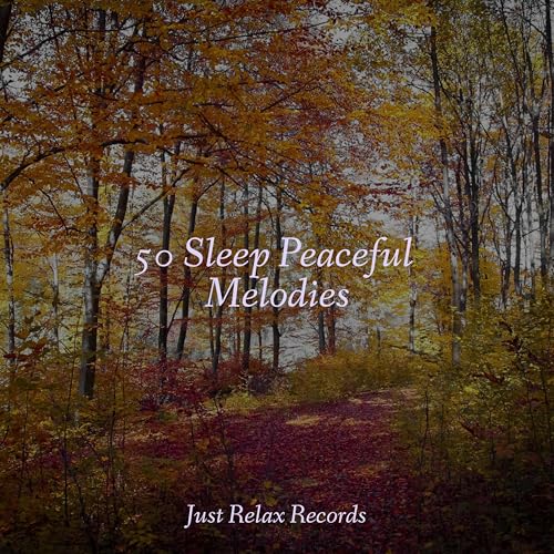 Play 50 Sleep Peaceful Melodies by Rest & Relax Nature Sounds Artists ...