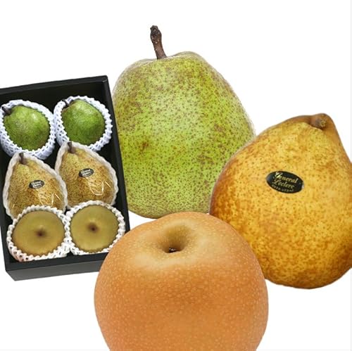 aEmZbg, EtX (R`Y) ƃ[lEN[N (Y) ƖL/Â/H (Y), Gi 2kg, 6 Mtg{bNX