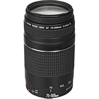 CANON ZOOM LENS EF 75-300mm 1:4-5.6 Ⅲ Amazon.com : Canon EF 75-300mm f/4-5.6 III Telephoto Zoom