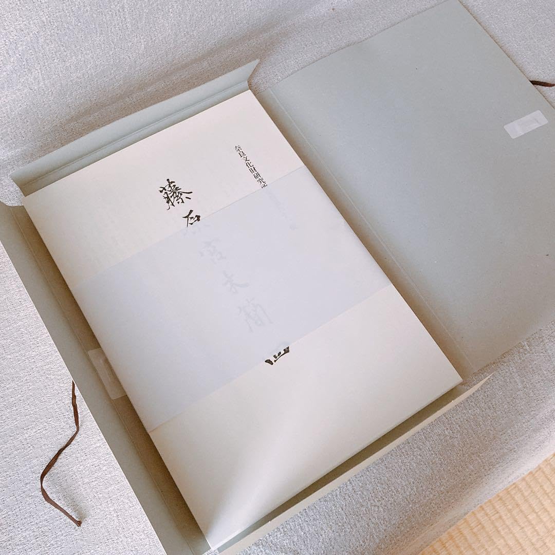 Amazon.co.jp: 奈良文化財研究所 藤原宮木簡四 : Office Products