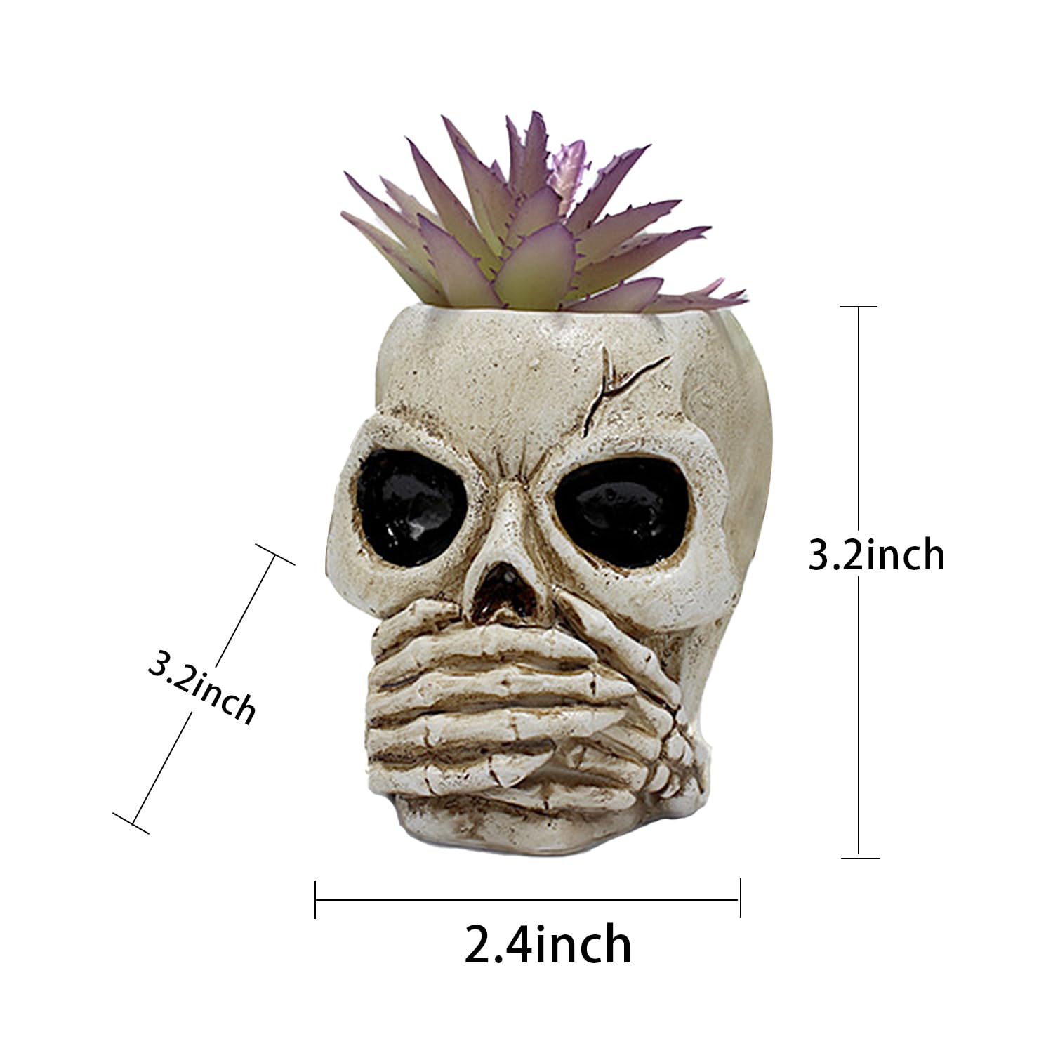 Amazon.co.jp: HOTMYIDA スカルプランター 植木鉢 樹脂 スカル型