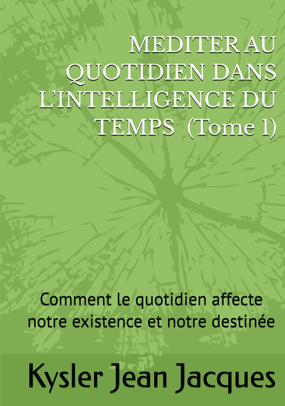 MEDITER AU QUOTIDIEN DANS L’INTELLIGENCE DU TEMPS (Tome 1): Comment le quotidien affecte notre existence et notre destinée